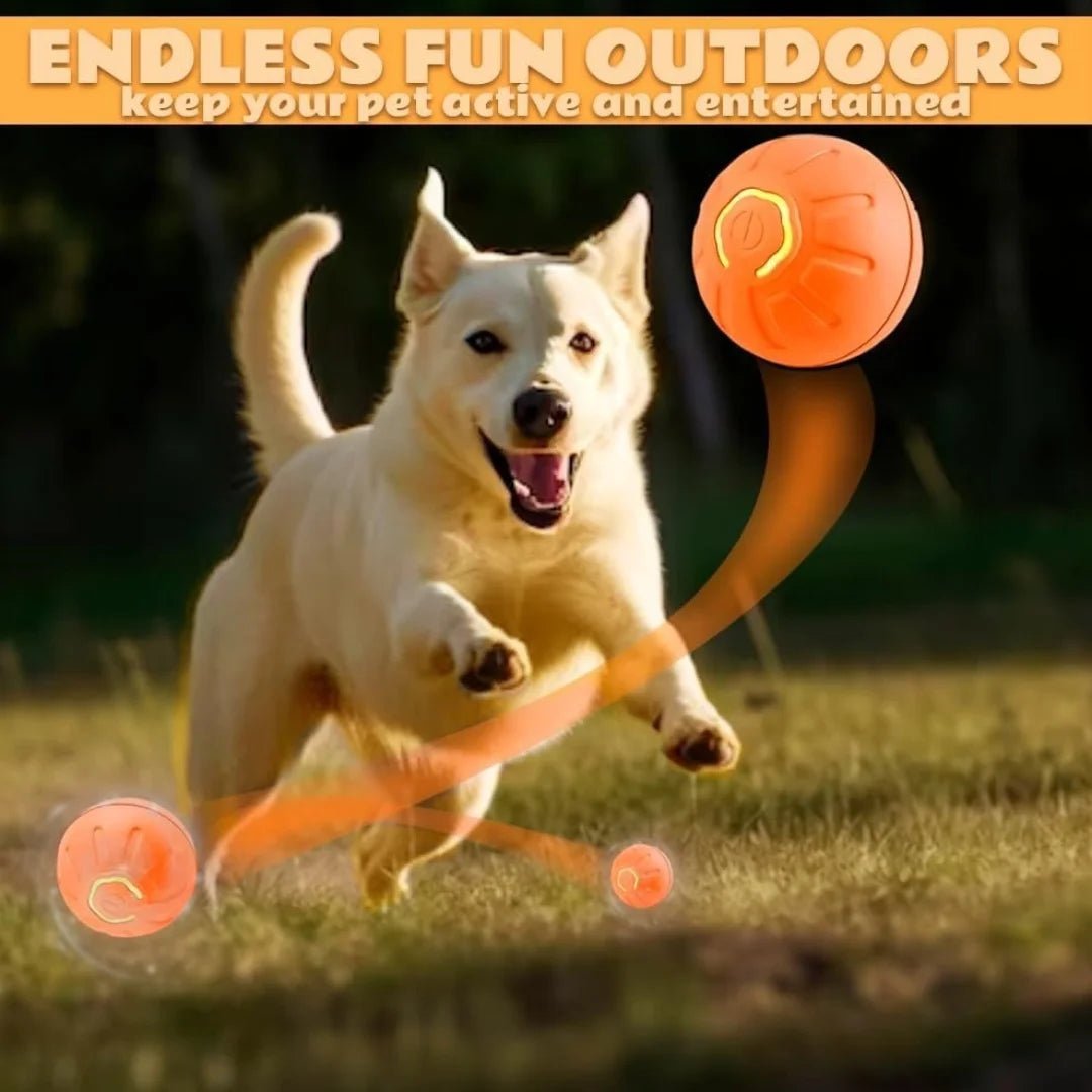 Smart Bouncing Electric Pet Ball, Automatic Random Motion Toy, Durable Chew-Resistant for Cats and Dogs - Barking & Purrfectly Happy