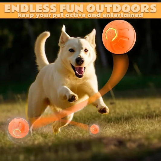 Smart Bouncing Electric Pet Ball, Automatic Random Motion Toy, Durable Chew-Resistant for Cats and Dogs - Barking & Purrfectly Happy
