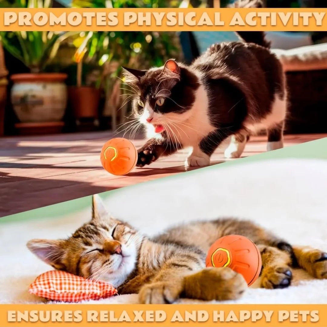 Smart Bouncing Electric Pet Ball, Automatic Random Motion Toy, Durable Chew-Resistant for Cats and Dogs - Barking & Purrfectly Happy