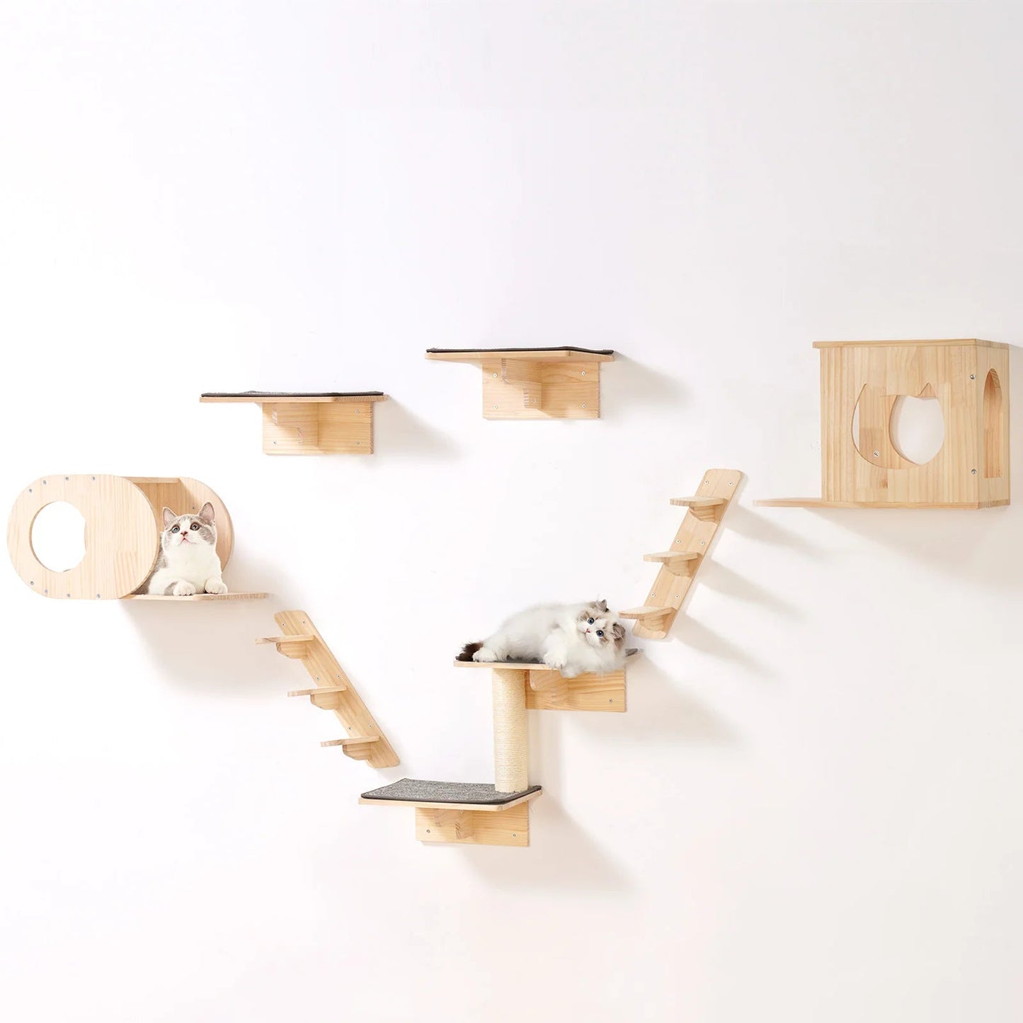 SucceBuy Wall Mounted Cat Shelves Cat Wall Shelves and Perches with Jumping Boards Hammocks & Cat Tree Cat Furniture and Shelves - Barking & Purrfectly Happy