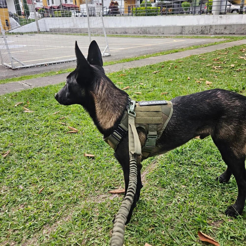 Tactical Dog Harness Leash Set for Large Dogs Military Harnesses for Training Walking Hunting Pet Vest Handle No Pull Malinois - Barking & Purrfectly Happy