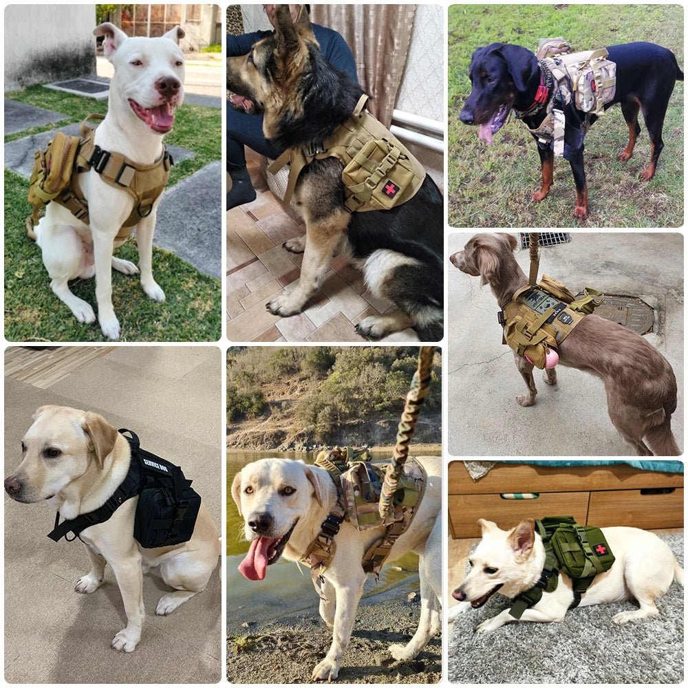 Tactical Dog Harness Leash Set for Large Dogs Military Harnesses for Training Walking Hunting Pet Vest Handle No Pull Malinois - Barking & Purrfectly Happy